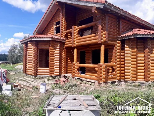 Оазис